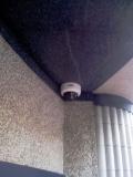 videophonie